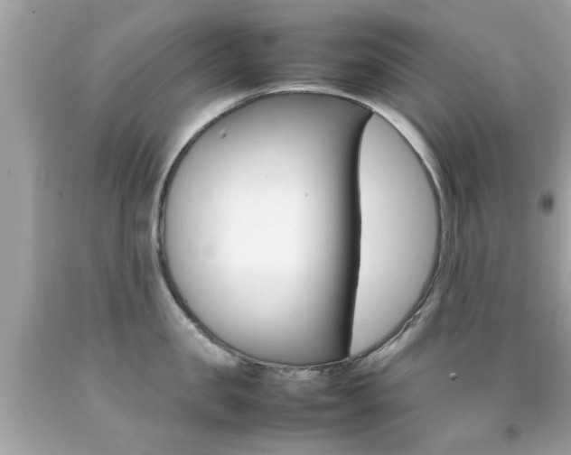 X0000092090957200709121123