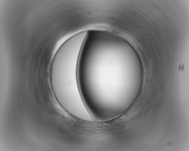X0000092090960200709121123
