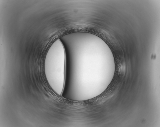 X0000092090964200709121122