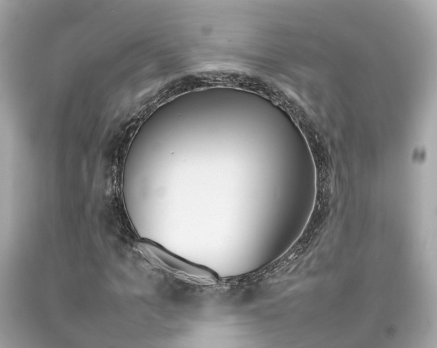 X0000092090965200709121122