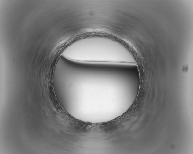 X0000092090967200709121122
