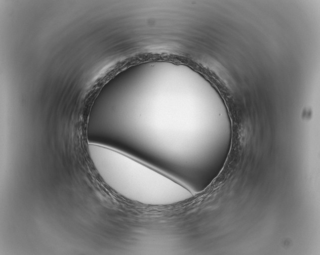 X0000092090968200709121122