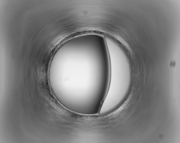 X0000092090969200709121122