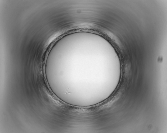X0000092090970200709121122