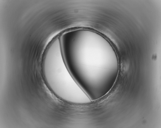 X0000092090972200709121122
