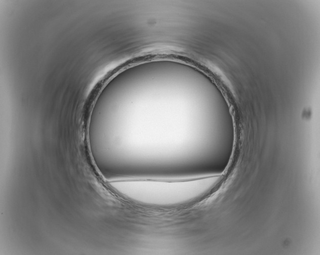 X0000092090973200709121122