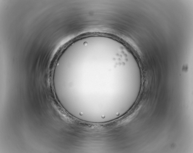 X0000092090974200709121122