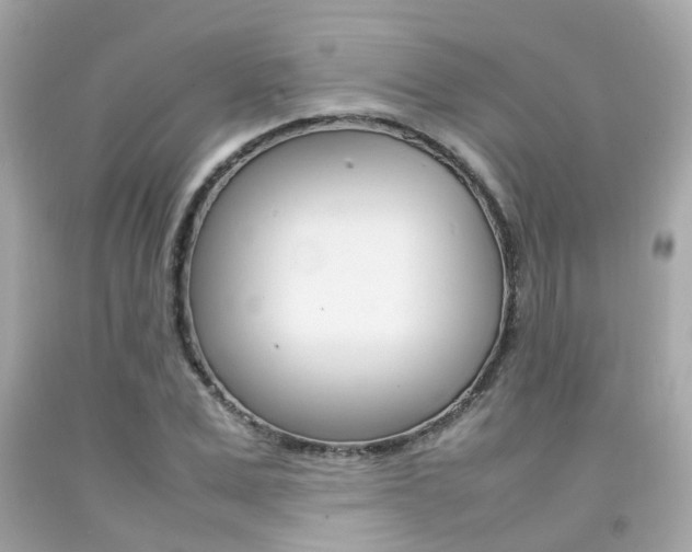 X0000092090975200709121122