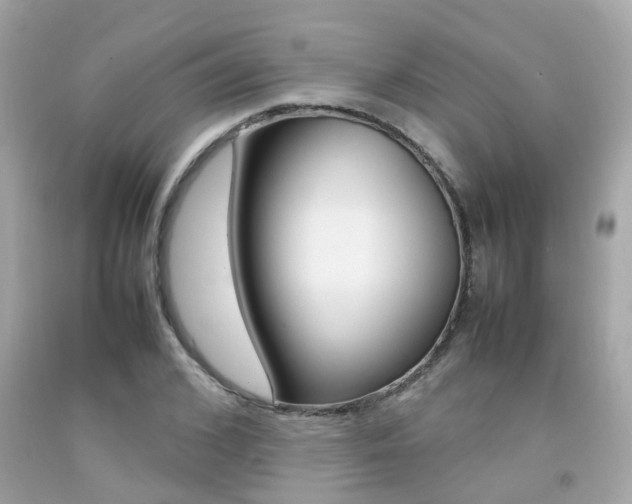 X0000092090976200709121122