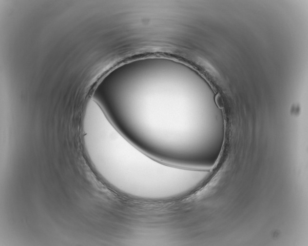 X0000092090977200709121122