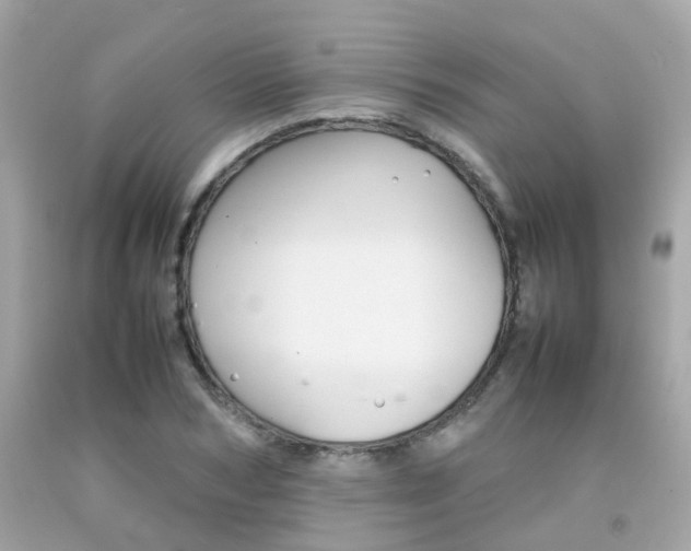 X0000092090978200709121122
