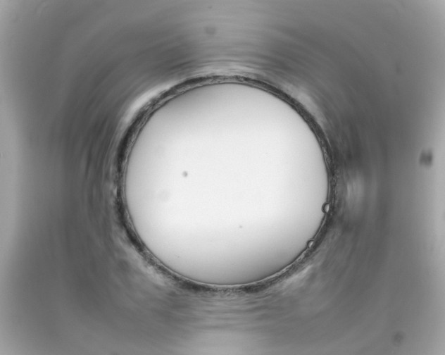 X0000092090979200709121122