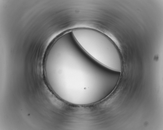 X0000092090980200709121122