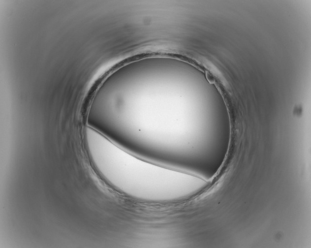 X0000092090981200709121122