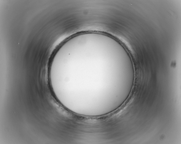 X0000092090982200709121122