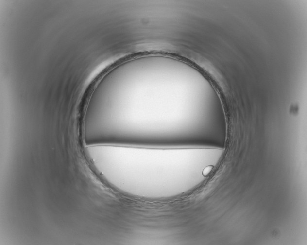 X0000092090983200709121122