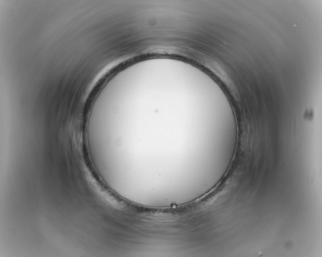 X0000092090984200709121122