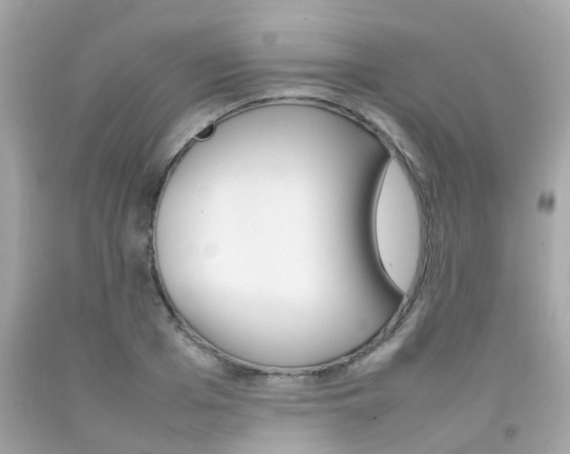 X0000092090985200709121122
