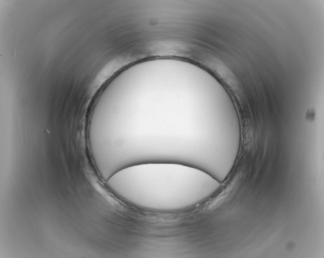 X0000092090986200709121122