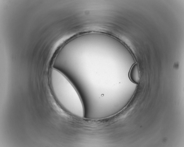 X0000092090987200709121122