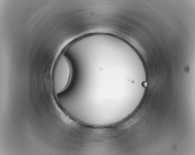 X0000092090988200709121122