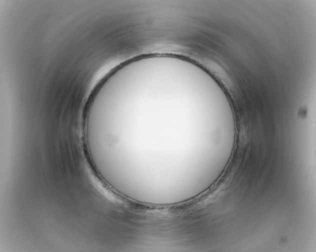 X0000092090990200709121122