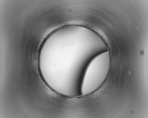 X0000092090992200709121122