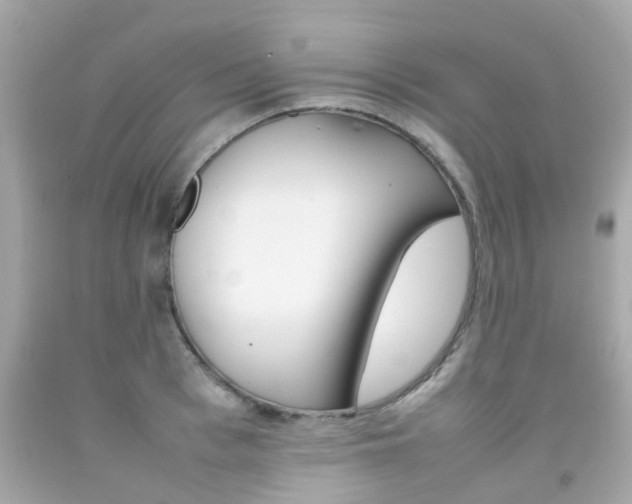 X0000092090993200709121122