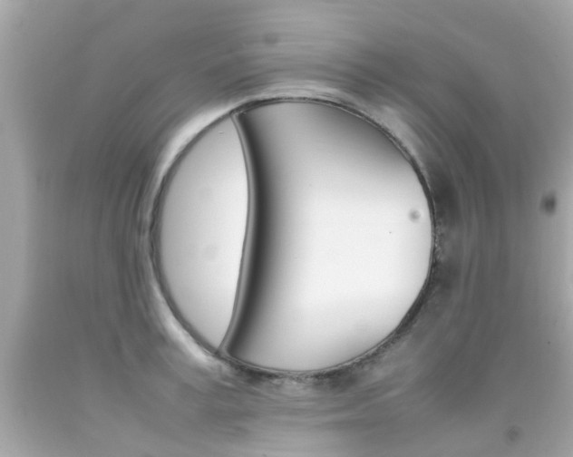 X0000092090995200709121122