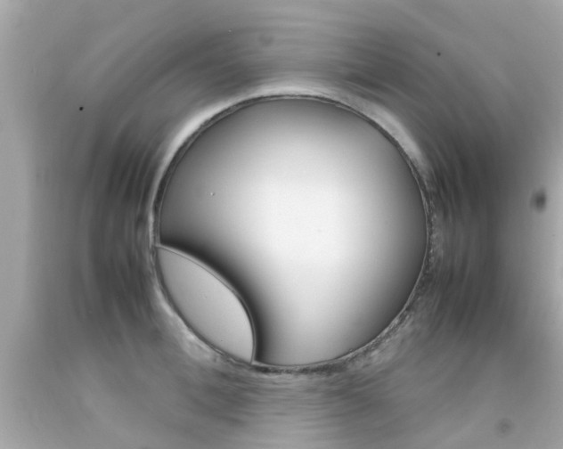 X0000092090996200709121122