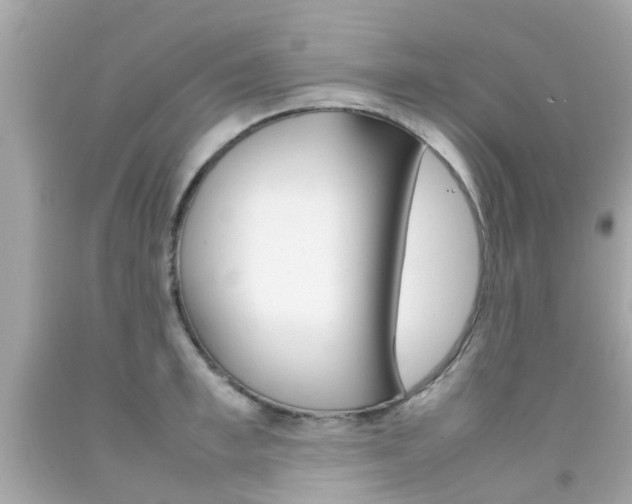 X0000092090997200709121122