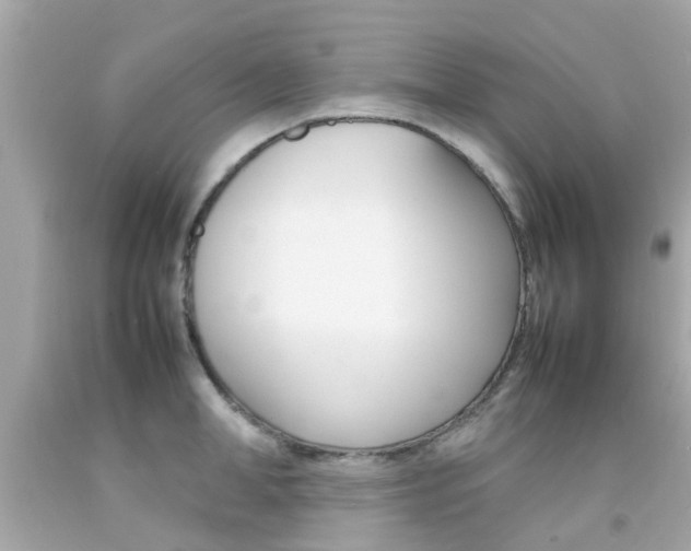 X0000092090998200709121122