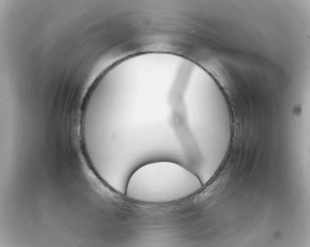 X0000092091000200709121122