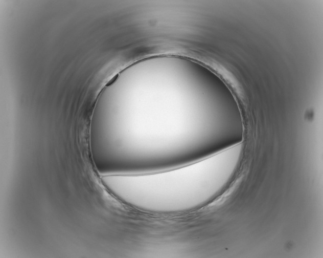 X0000092091001200709121122