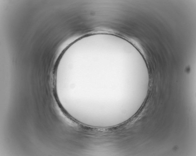 X0000092091003200709121122