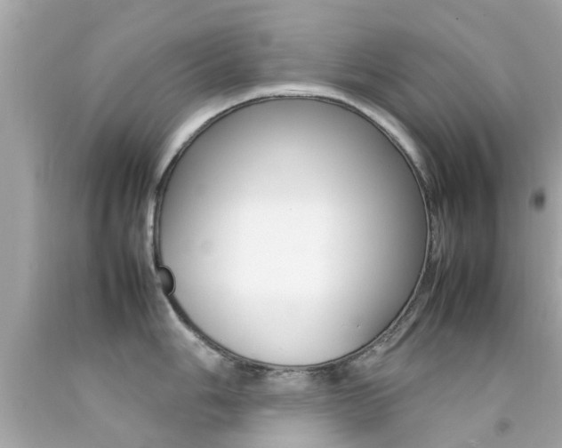 X0000092091006200709121122