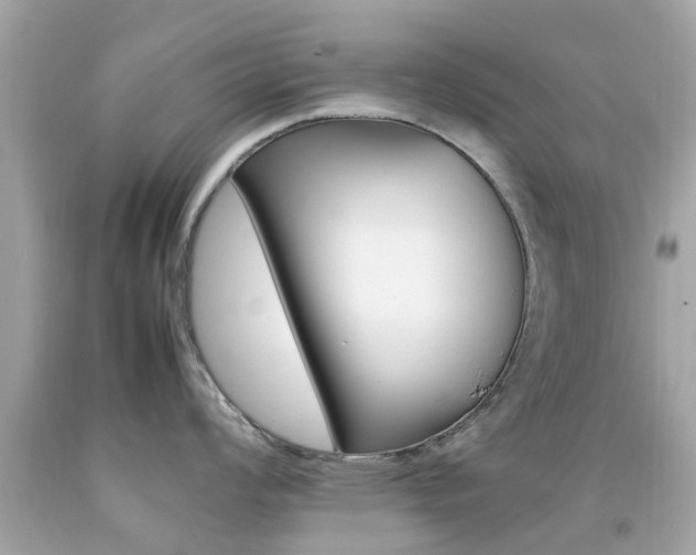 X0000092091008200709121122