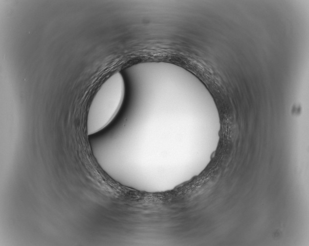 X0000092091009200709121121