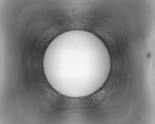 X0000092091010200709121121