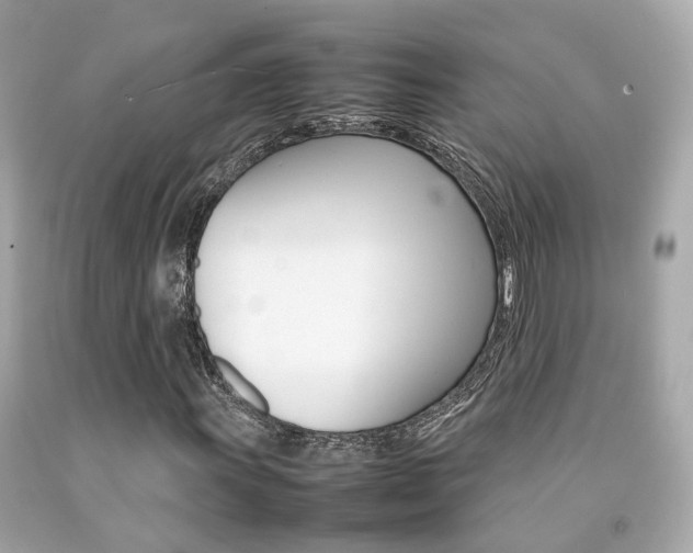 X0000092091011200709121121