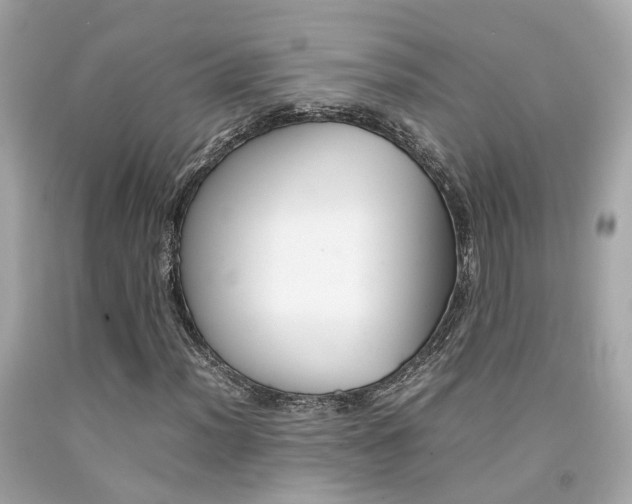 X0000092091012200709121121