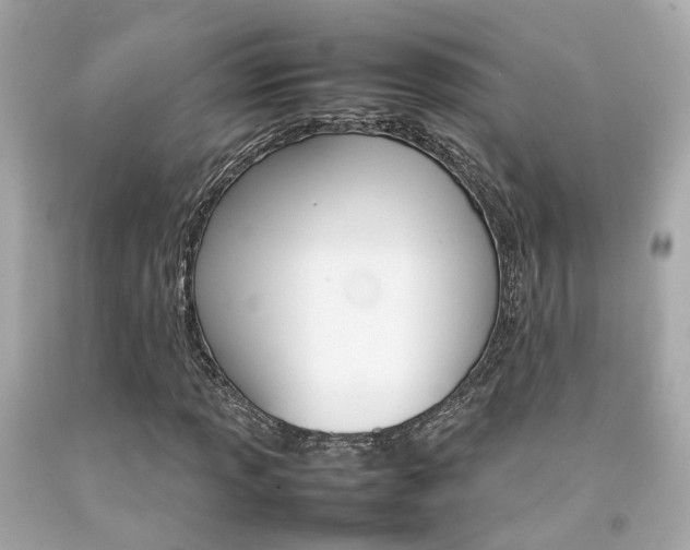 X0000092091013200709121121