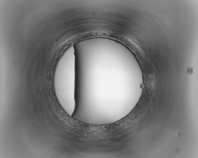 X0000092091015200709121121