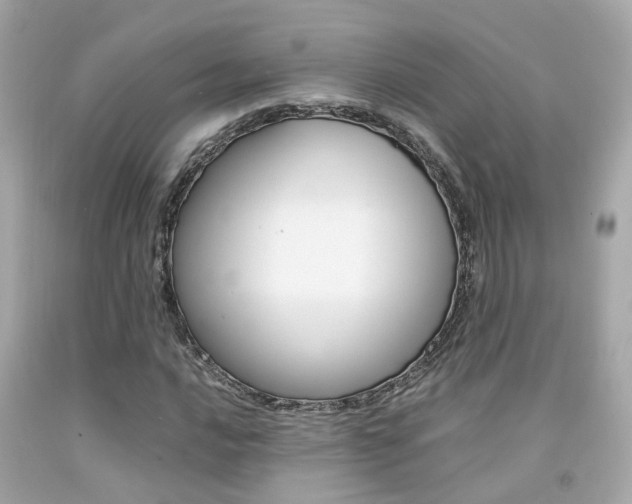 X0000092091016200709121121