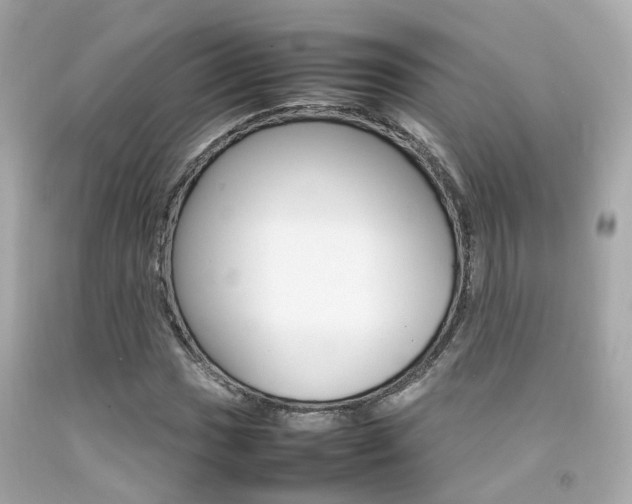 X0000092091017200709121121