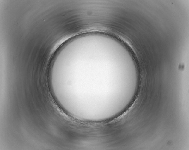 X0000092091018200709121121