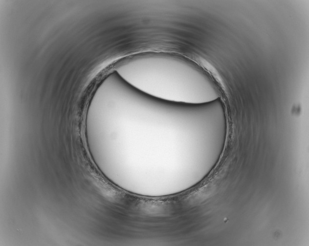 X0000092091019200709121121