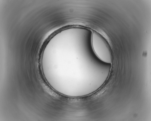 X0000092091020200709121121