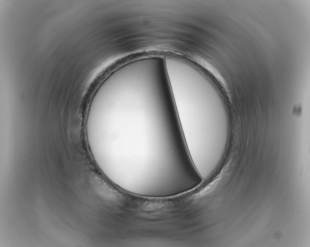 X0000092091021200709121121
