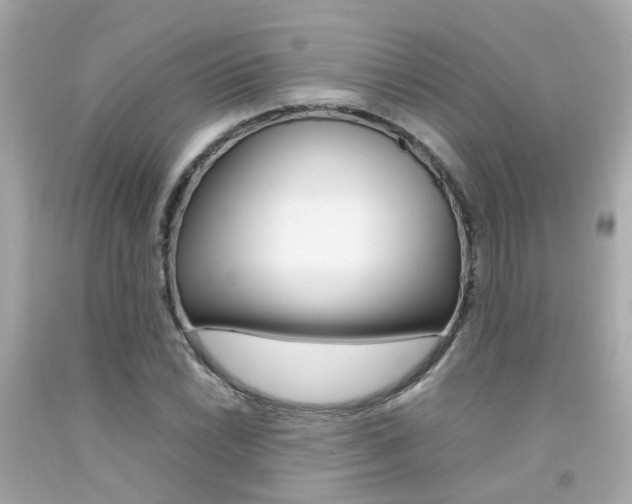 X0000092091022200709121121